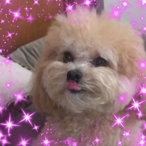 Meet your Posher, Andee